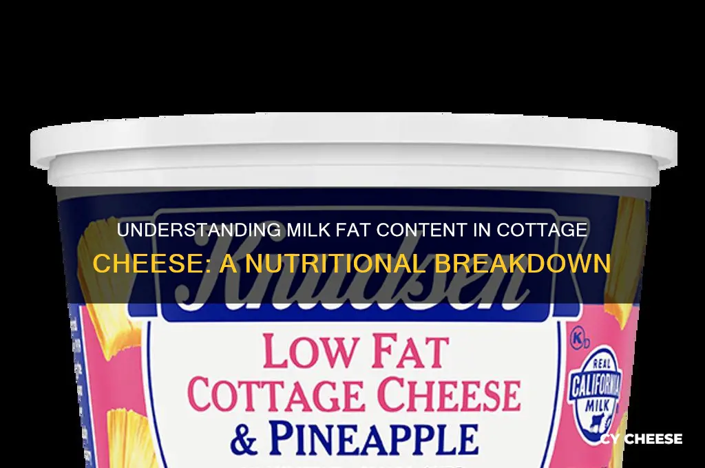 how much milk fat in cottage cheese