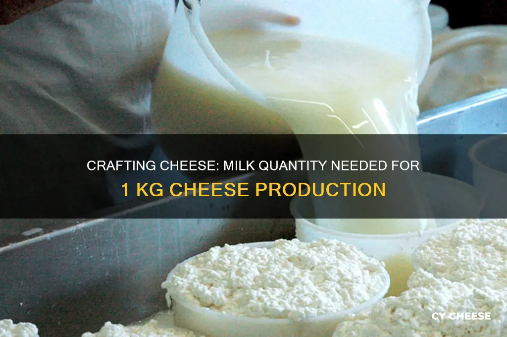 how much milk for 1 kg cheese
