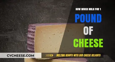 Perfect Cheese-Making Ratio: Milk to 1 Pound Cheese Guide