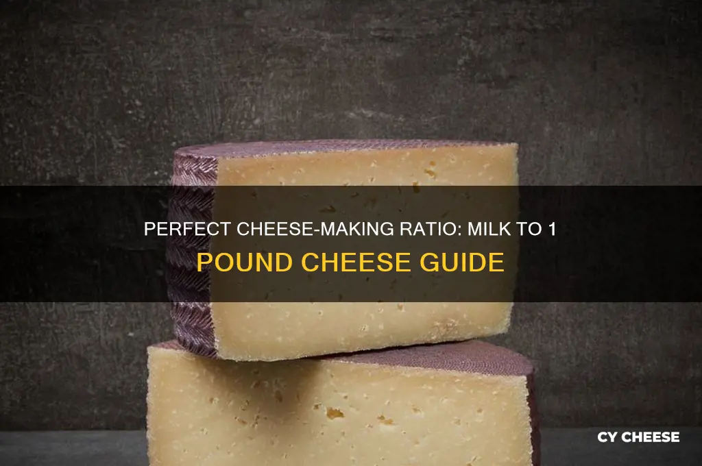 how much milk for 1 pound of cheese