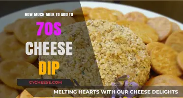 Perfecting the Creamy 70s Cheese Dip: Milk Ratio Guide