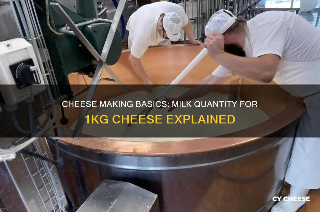 how much milk to make 1kg of cheese