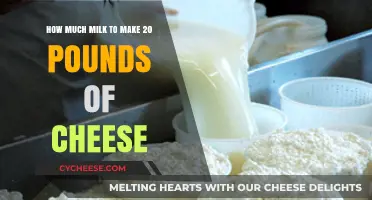 Cheese Making Guide: Milk Quantity for 20 Pounds of Cheese