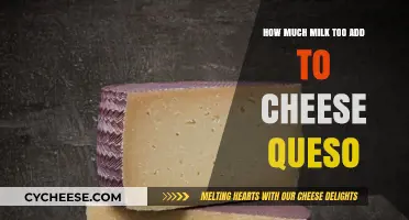 Perfect Cheese Queso: Mastering the Ideal Milk-to-Cheese Ratio