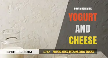 Dairy Essentials: Balancing Milk, Yogurt, and Cheese in Your Diet