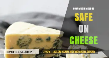 Is Moldy Cheese Safe to Eat? Understanding Risks and Benefits