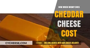 Cheddar Cheese Price Guide: Understanding Costs and Factors