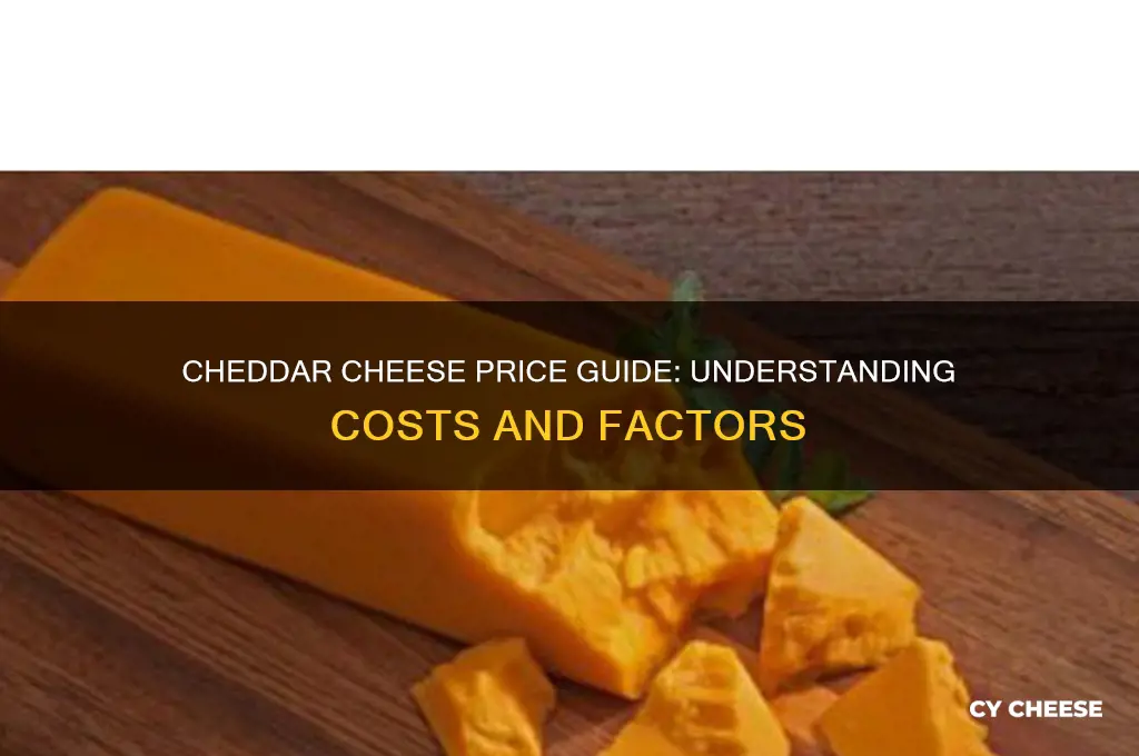 how much money does cheddar cheese cost