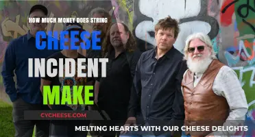 String Cheese Incident's Earnings: Unraveling Their Financial Success Story