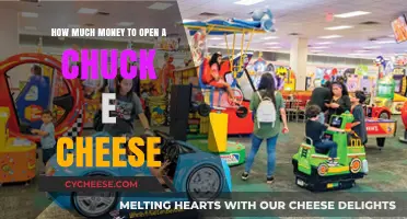 Opening a Chuck E. Cheese: Startup Costs and Financial Insights