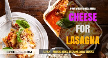 Perfect Lasagna Layers: How Much Mozzarella Cheese to Use