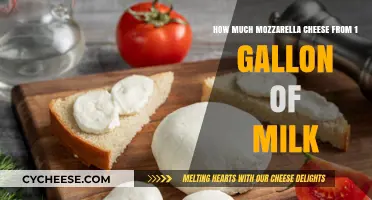 Mozzarella Magic: Yielding Cheese from a Gallon of Milk