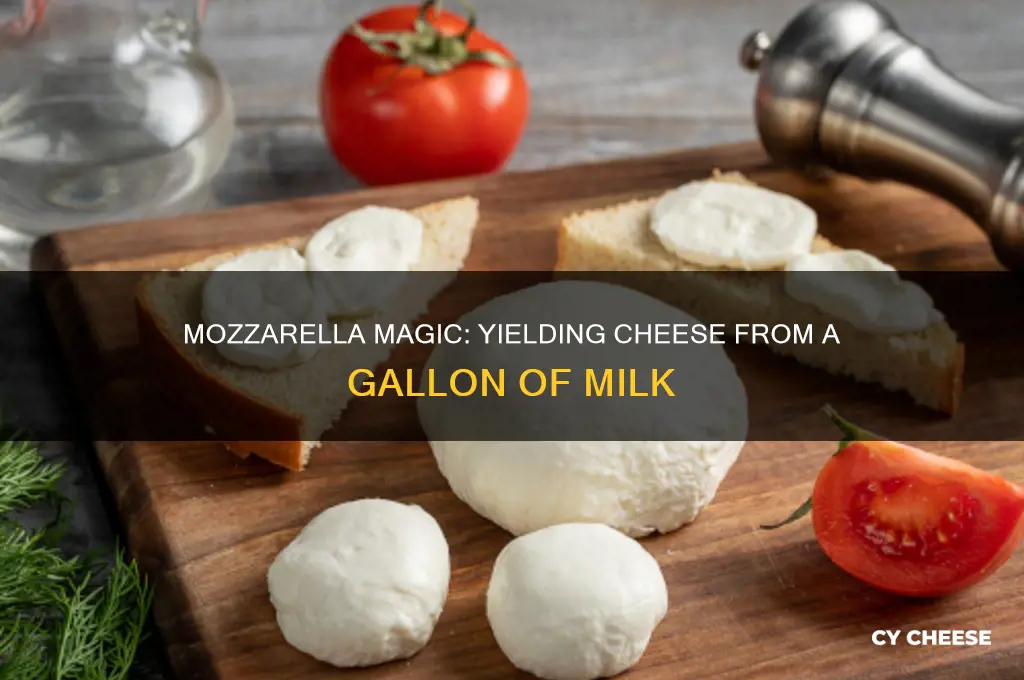how much mozzarella cheese from 1 gallon of milk