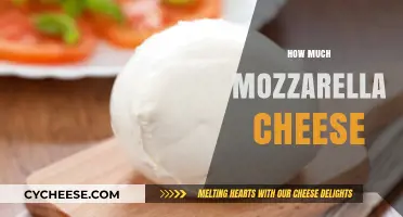 Perfect Mozzarella Measurements: How Much Cheese is Just Right?