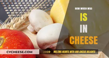 Unveiling the Truth: MSG Levels in Cheese Explained