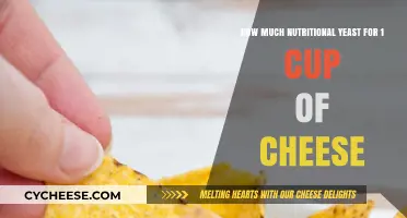 Perfect Nutritional Yeast to Cheese Ratio: 1 Cup Substitute Guide