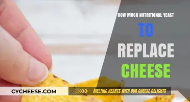 Nutritional Yeast: The Perfect Cheese Substitute and How Much to Use