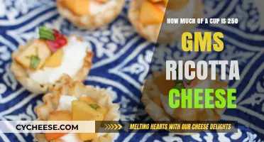 Measuring Ricotta Cheese: How Much is 250 Grams in Cups?