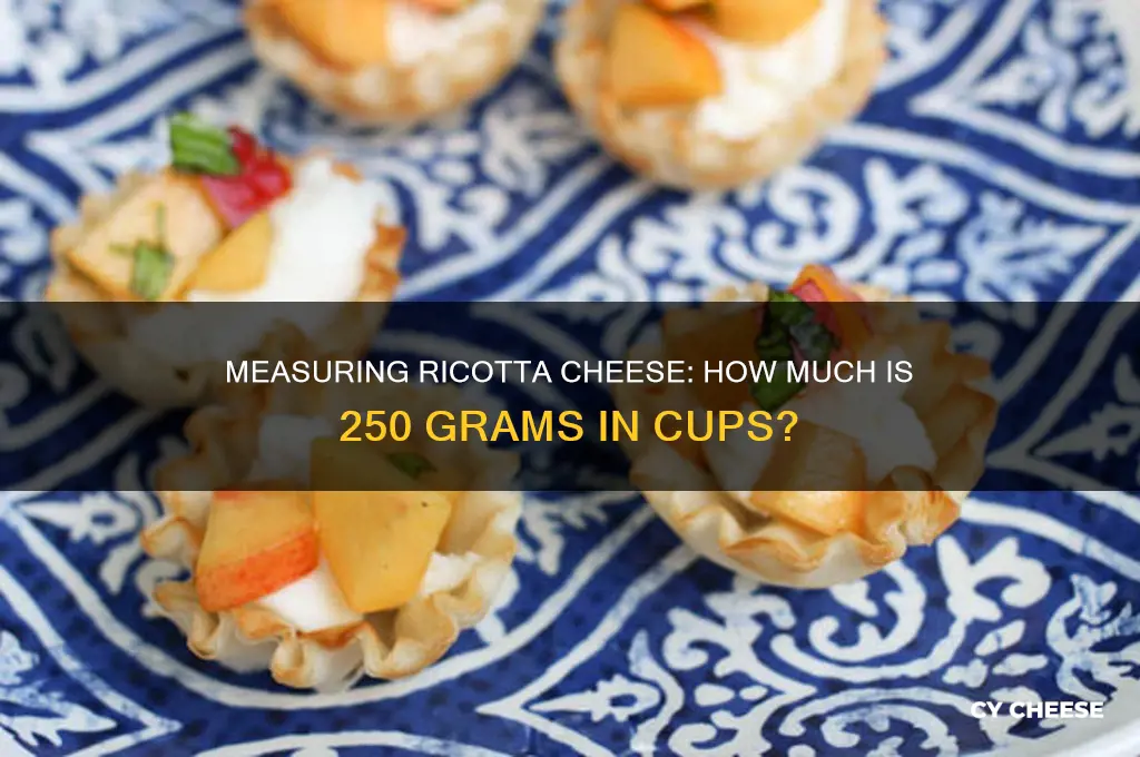 how much of a cup is 250 gms ricotta cheese