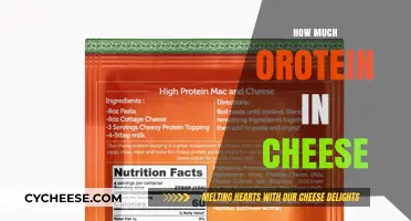 Cheese Protein Content: How Much Protein is in Your Favorite Cheese?