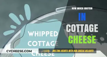 Cottage Cheese Protein Content: A Nutritional Breakdown and Benefits