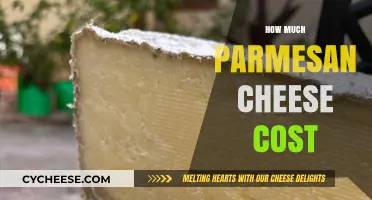 Understanding the Price of Parmesan Cheese: A Cost Breakdown