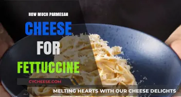 Perfect Parmesan Portion: Enhancing Your Fettuccine Alfredo Experience