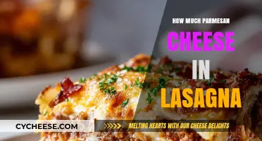 Perfect Parmesan Portion: Enhancing Your Lasagna with the Right Amount