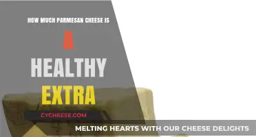 Healthy Extras: Balancing Parmesan Cheese in Your Daily Diet