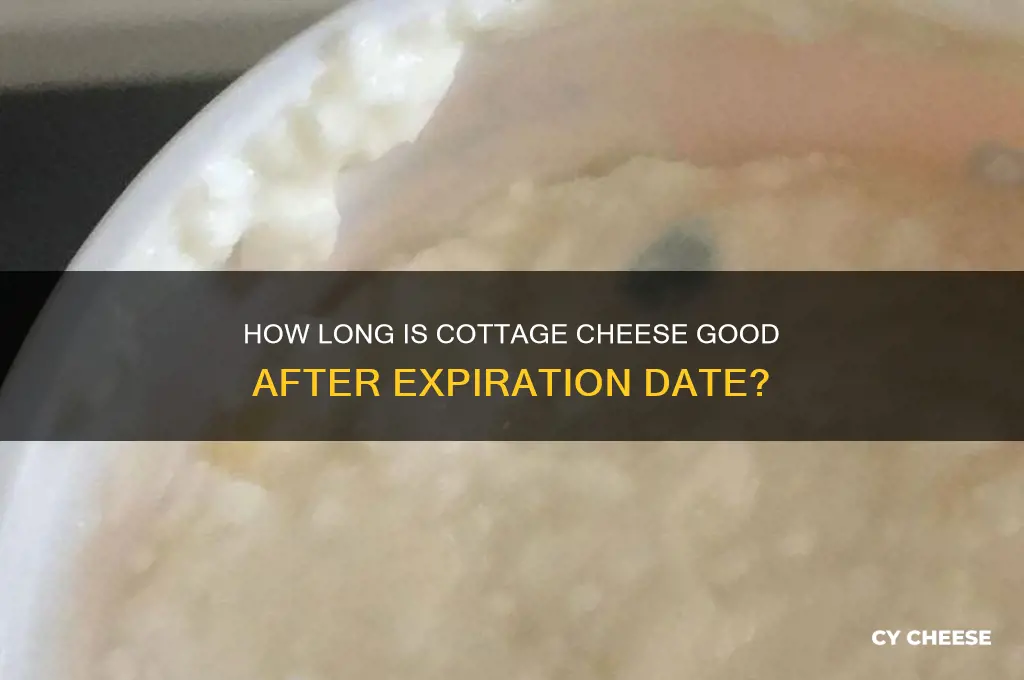 how much past expiration date for cottage cheese