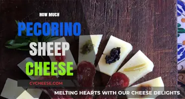 Exploring Pecorino Sheep Cheese: Quantities, Uses, and Perfect Pairings