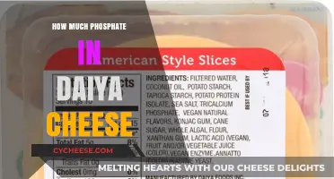 Daiya Cheese Phosphate Content: What You Need to Know