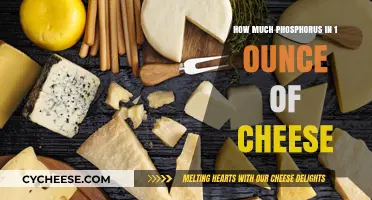 Phosphorus Content in Cheese: Unveiling the Amount in 1 Ounce