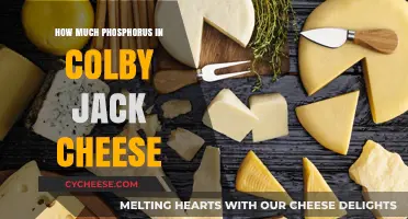Colby Jack Cheese Phosphorus Content: Nutritional Insights and Benefits