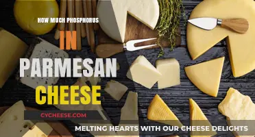 Phosphorus Content in Parmesan Cheese: Nutritional Insights and Benefits