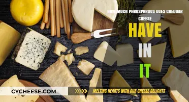 Cheddar Cheese Phosphorus Content: Nutritional Insights and Health Benefits