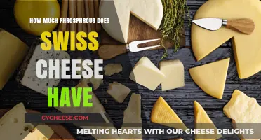 Swiss Cheese Phosphorus Content: Nutritional Insights and Health Benefits
