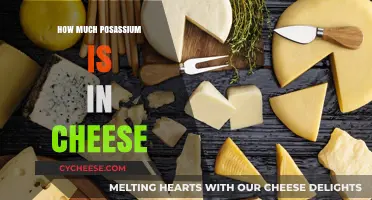 Cheese and Potassium: Uncovering the Nutrient Content in Your Favorite Dairy