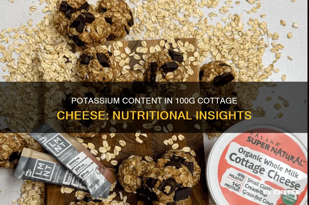 how much potassium in 100g cottage cheese
