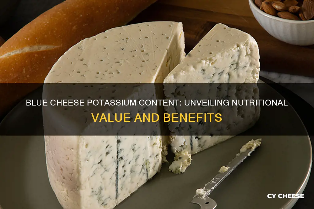 how much potassium in blue cheese