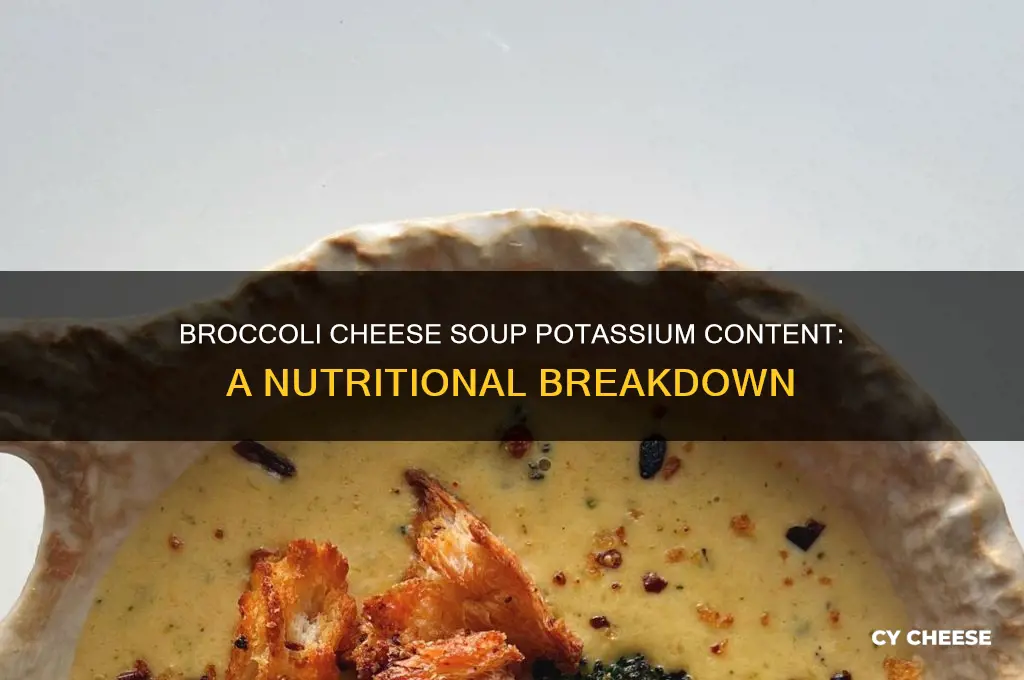 how much potassium in broccoli cheese soup