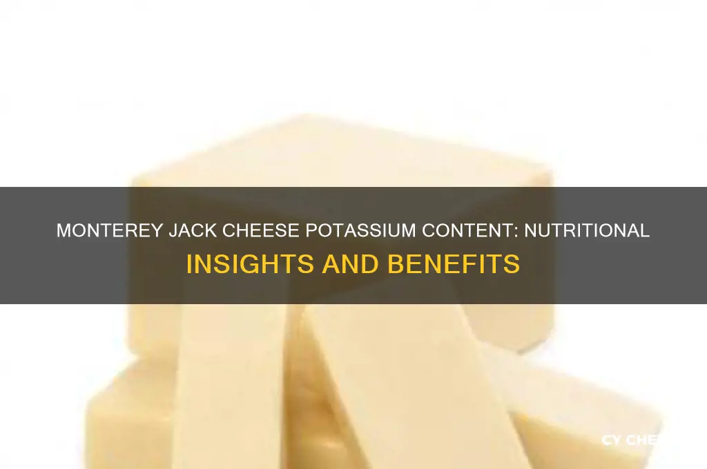 how much potassium in monterey jack cheese