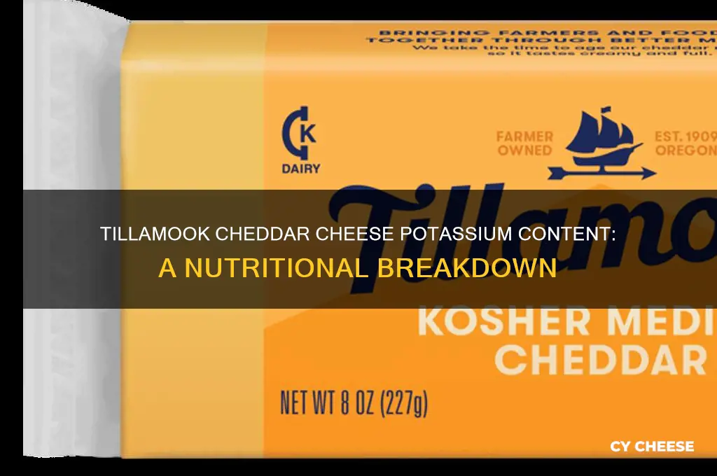 how much potassium in tillamook cheddar cheese