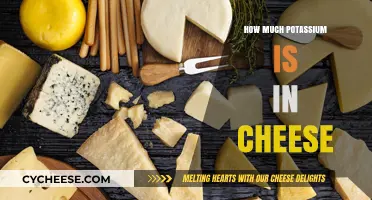 Cheese and Potassium: Uncovering the Nutrient Content in Your Favorite Dairy