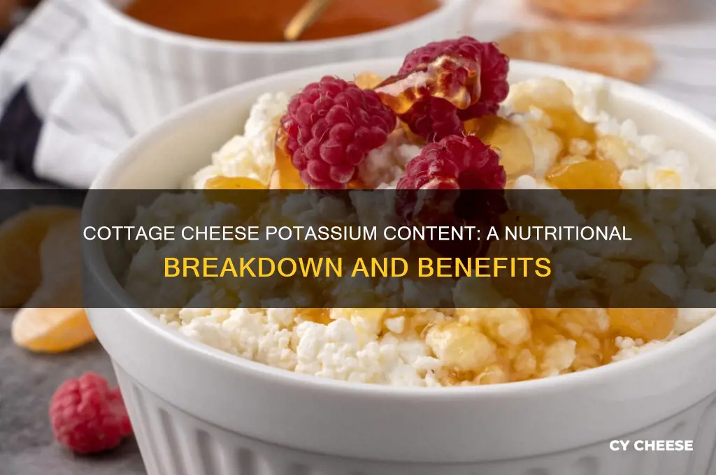 how much potassium is in cottage cheese