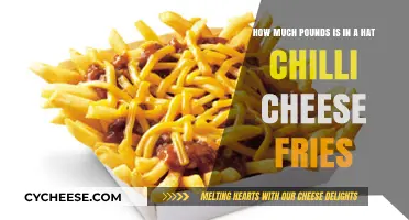 Unveiling the Weight: How Many Pounds in a Hat Chili Cheese Fries?
