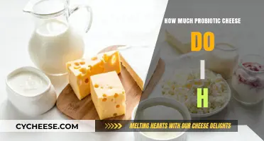 Probiotic Cheese Portions: How Much Should You Consume Daily?