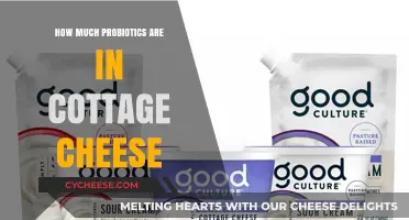 Cottage Cheese Probiotics: Unveiling the Healthy Bacteria Content Inside