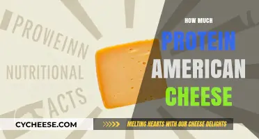 American Cheese Protein Content: Uncovering Nutritional Value and Serving Sizes