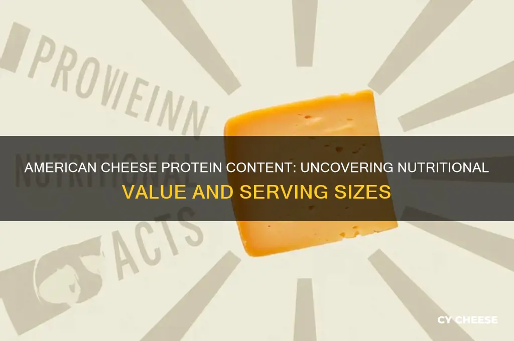 how much protein american cheese